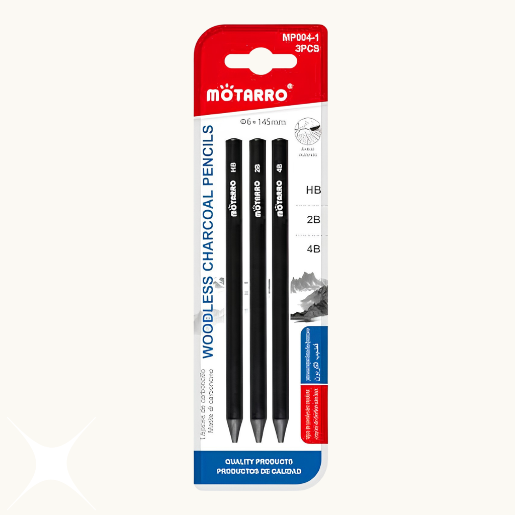 Motarro Woodless Charcoal Pencils